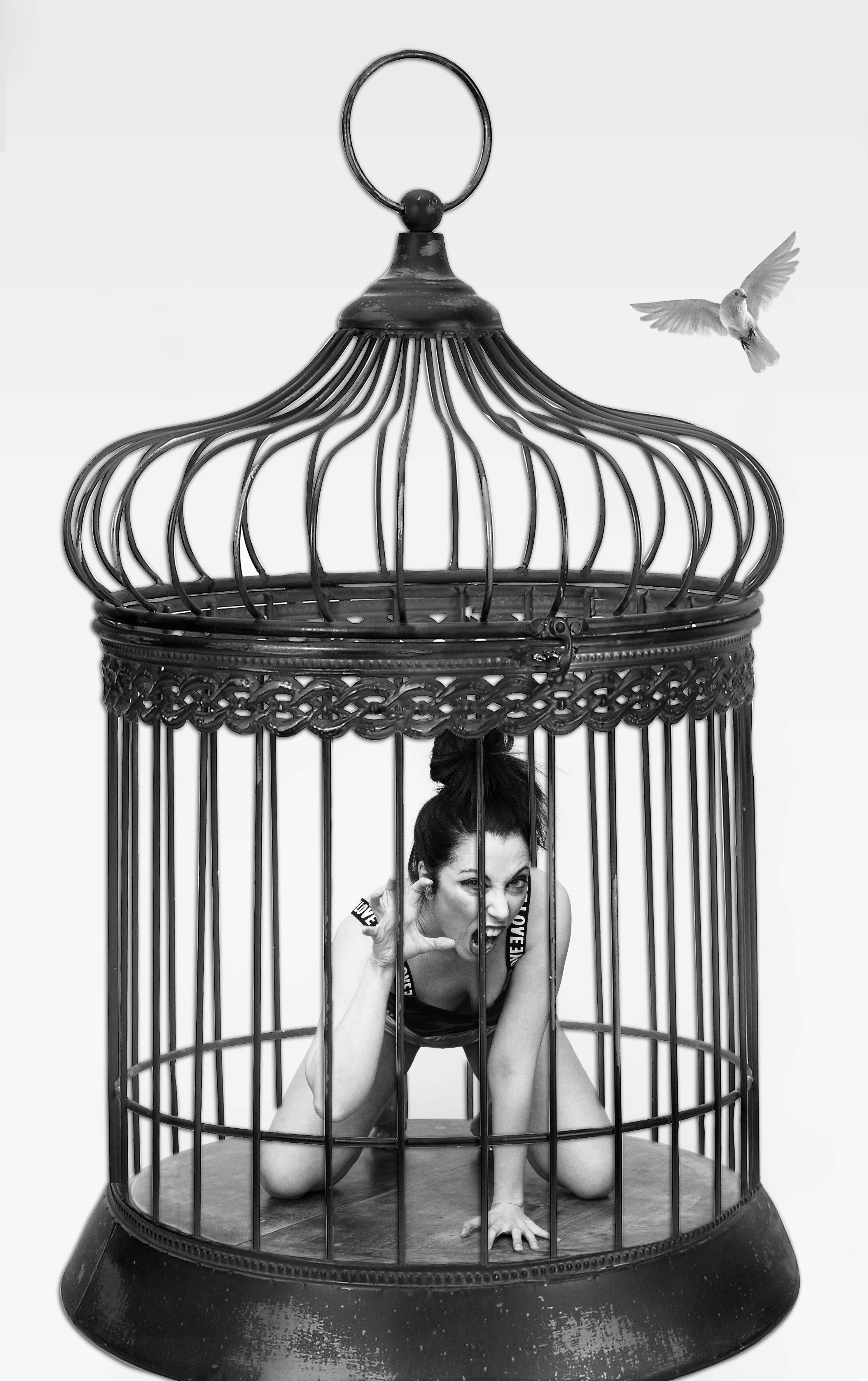 Silversnake Michelle cage freedom