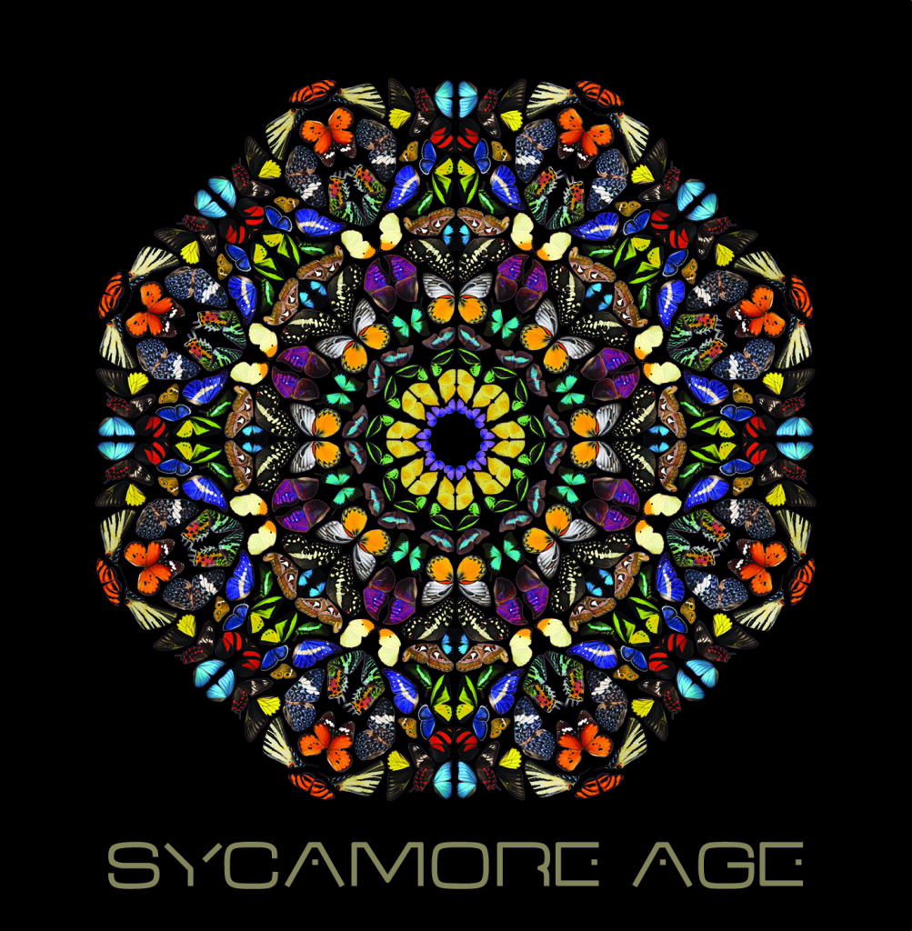 FastForward-Magazine_Sycamore-Age