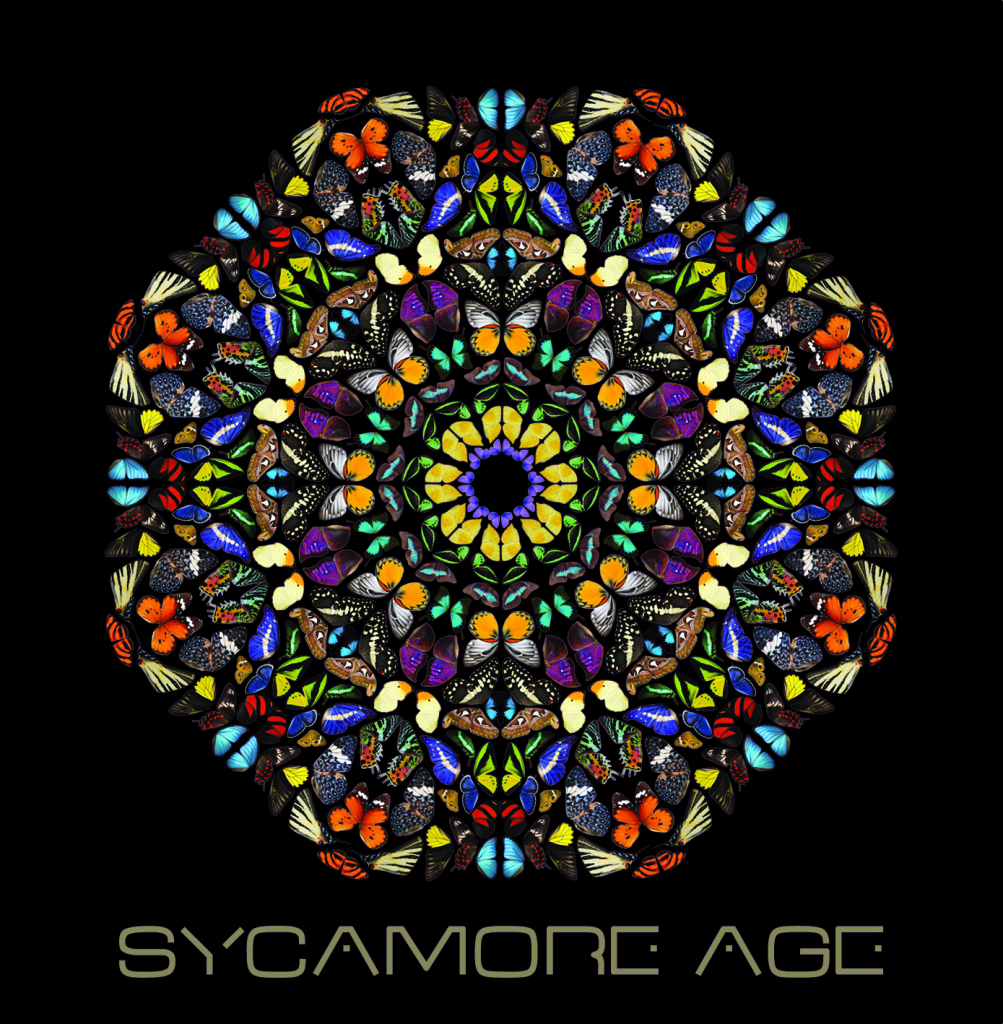 FastForward-Magazine_Sycamore-Age