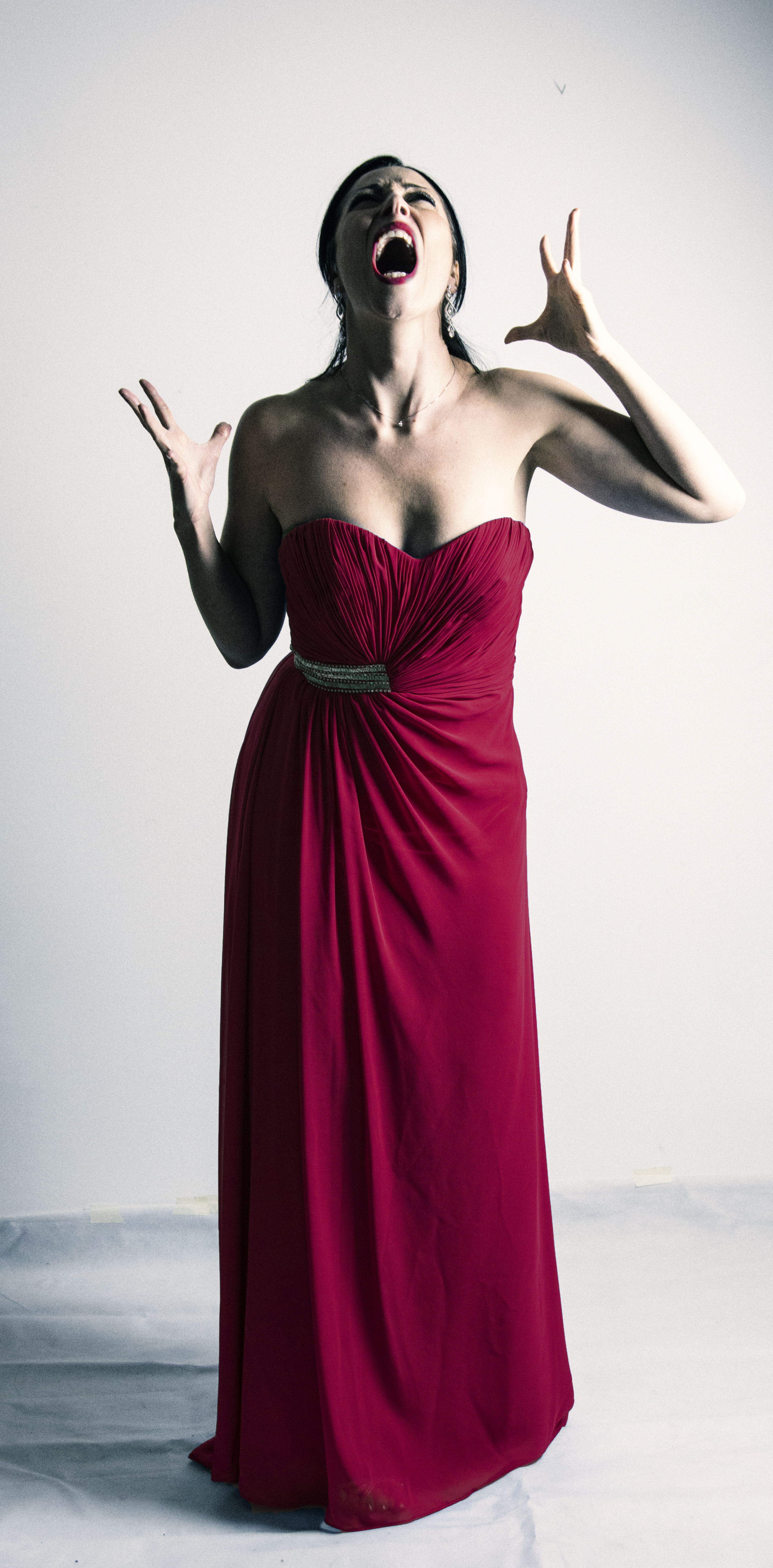 Silversnake Michelle Red Dress