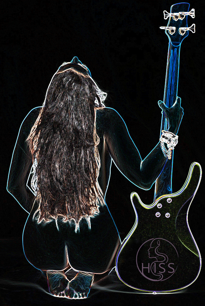 Silversnake Michelle HiSS new project